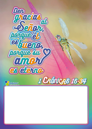 Almanaque Salmos 1/8